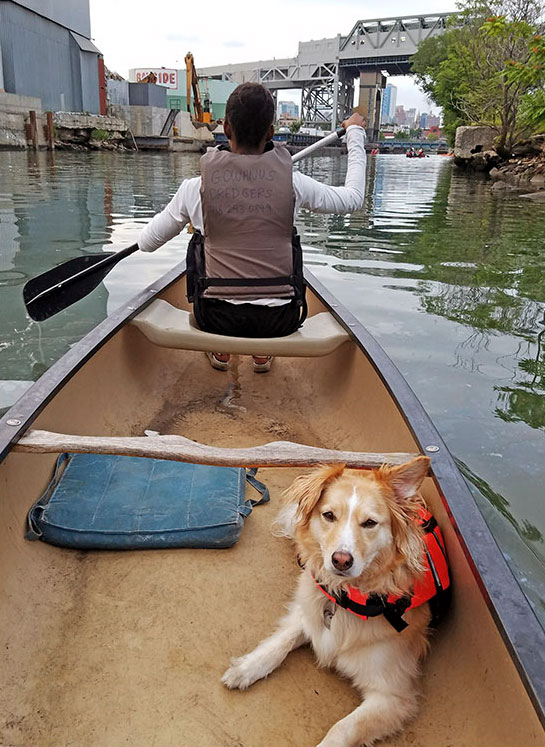Person on boat with a dog